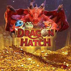 Dragon Hatch